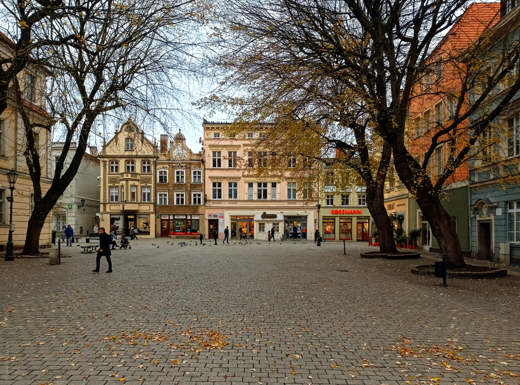 Rynek