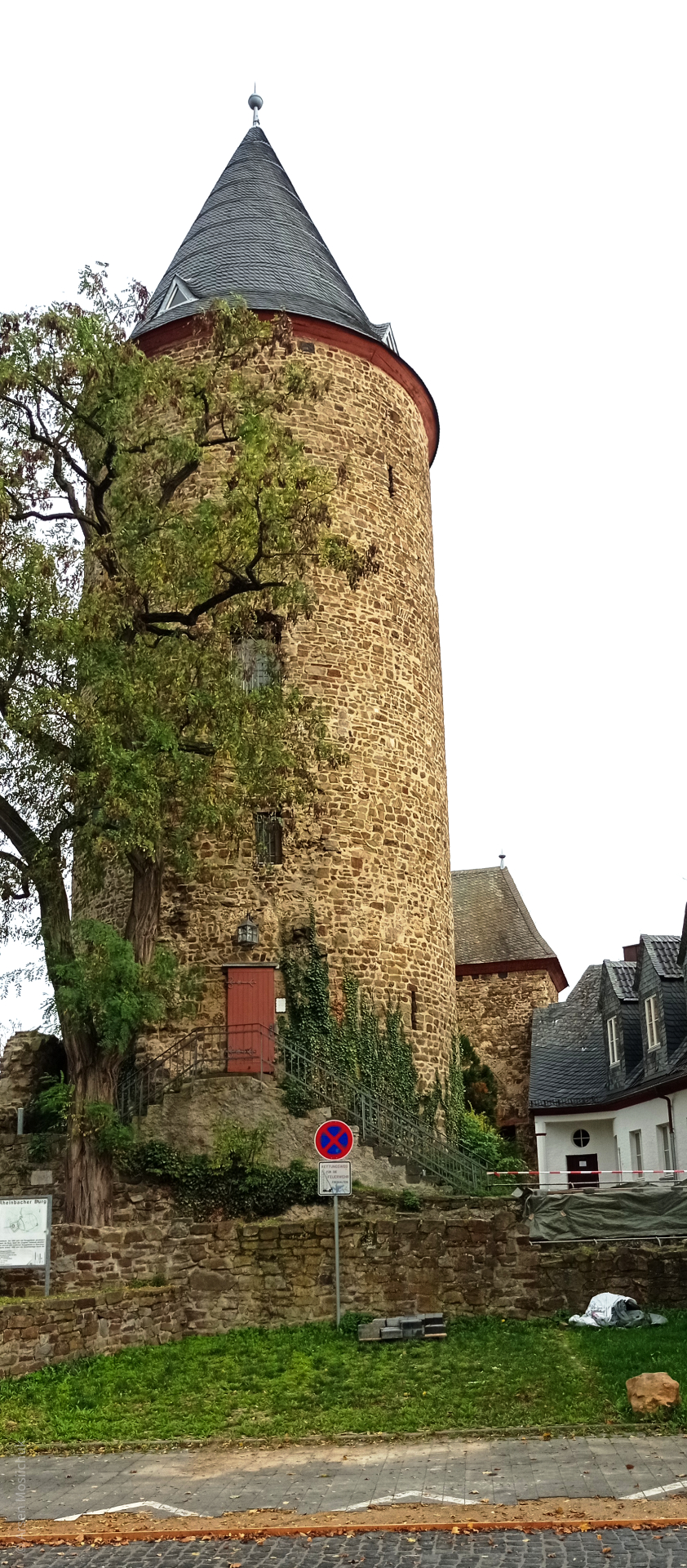 Wieża