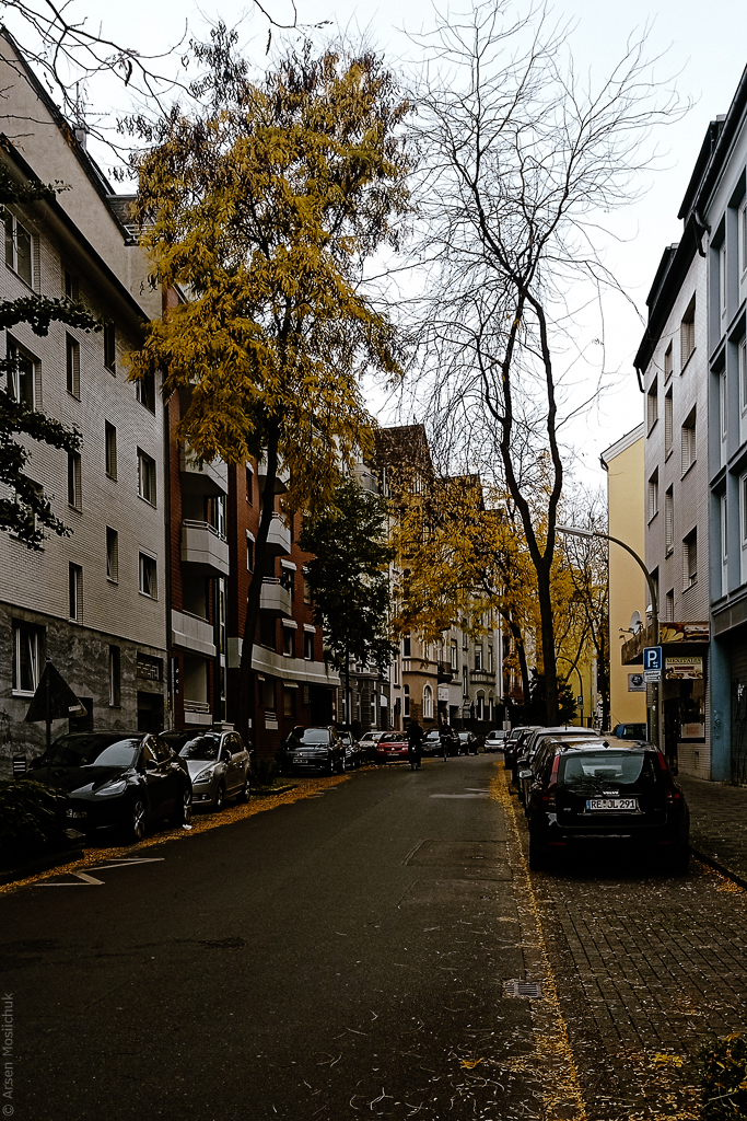 Ulica z drzewami