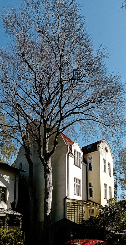 Poczta i śmietnik
